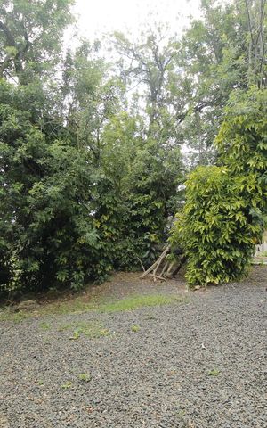Apartamento à venda com 74m², 3 quartos e 1 vagaPet Place