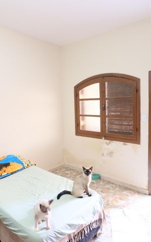 Casa à venda com 300m², 4 quartos e 2 vagasSuíte 3