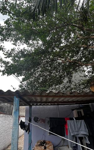 Casa à venda com 375m², 7 quartos e 4 vagas Casa à venda com 375m², 7 quartos e 4 vagasQuintal 2