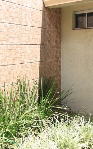 Casa de condomínio à venda com 225m², 3 quartos e 3 vagasQuintal
