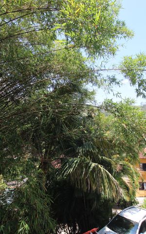 Casa de condomínio à venda com 127m², 2 quartos e 2 vagasSala - Varanda