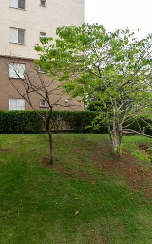 Apartamento à venda com 48m², 2 quartos e 1 vaga Apartamento à venda com 48m², 2 quartos e 1 vagaVista do Quarto 1