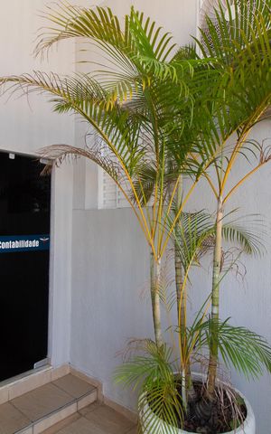 Casa à venda com 138m², 3 quartos e sem vaga Casa à venda com 138m², 3 quartos e sem vagaÁREA EXTERNA FRENTE