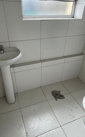 Apartamento à venda com 55m², 1 quarto e sem vaga