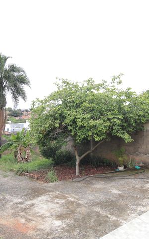 Casa à venda com 607m², 3 quartos e 4 vagasQuintal
