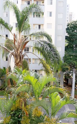 Apartamento à venda com 64m², 3 quartos e 1 vaga Apartamento à venda com 64m², 3 quartos e 1 vagaVista da Sacada