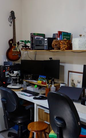 Apartamento à venda com 64m², 3 quartos e 1 vaga Apartamento à venda com 64m², 3 quartos e 1 vagaQuarto 3