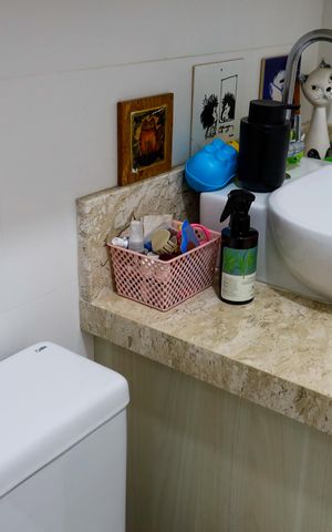 Apartamento à venda com 64m², 3 quartos e 1 vaga Apartamento à venda com 64m², 3 quartos e 1 vagaBanheiro