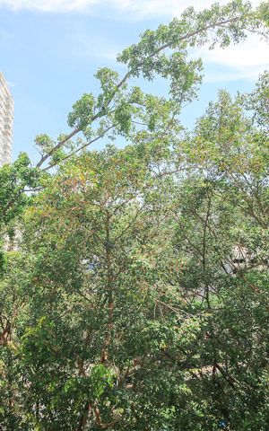 Apartamento à venda com 70m², 2 quartos e 1 vagaVista do Quarto 1