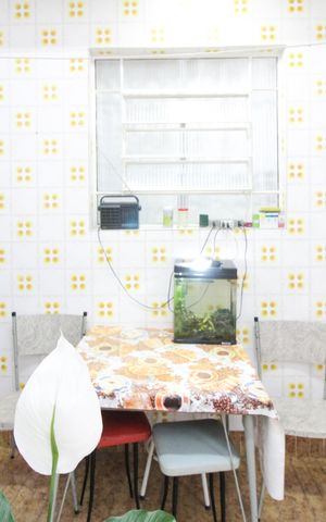 Casa à venda com 107m², 3 quartos e 2 vagas Casa à venda com 107m², 3 quartos e 2 vagasQuintal/Área de Serviço