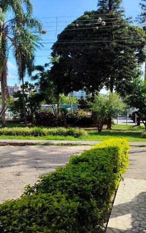 Studio para alugar com 29m², 1 quarto e 1 vaga