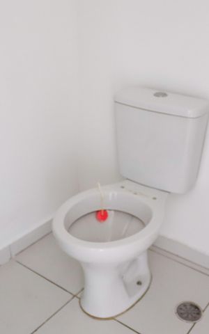 Apartamento para alugar com 39m², 1 quarto e 1 vagaBanheiro