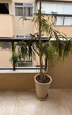 Apartamento à venda com 215m², 3 quartos e 1 vaga Apartamento à venda com 215m², 3 quartos e 1 vagaVaranda