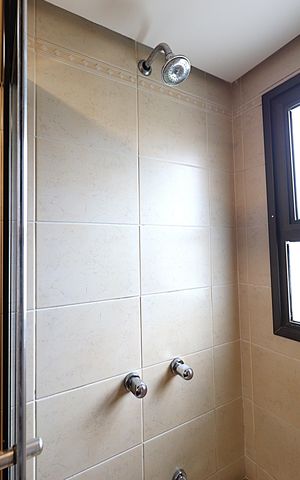 Apartamento à venda com 106m², 3 quartos e 2 vagasBanheiro da Suíte - Box