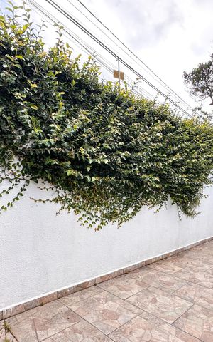 Casa à venda com 216m², 3 quartos e 3 vagasQuintal