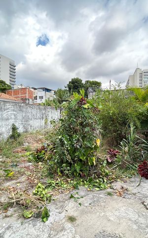Casa à venda com 600m², 4 quartos e 3 vagasQuintal