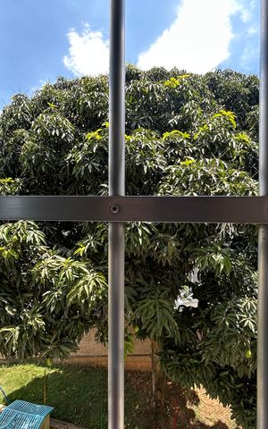 Apartamento à venda com 55m², 2 quartos e 1 vaga Apartamento à venda com 55m², 2 quartos e 1 vagaVista