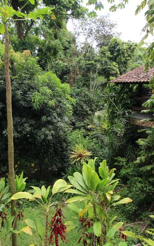 Casa de condomínio à venda com 350m², 4 quartos e 4 vagasChurrasqueira - Vista