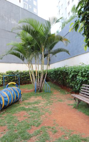Apartamento à venda com 54m², 3 quartos e 1 vagaÁrea comum - Espaço Pet