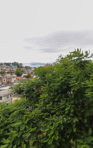 Apartamento à venda com 62m², 2 quartos e 1 vaga Apartamento à venda com 62m², 2 quartos e 1 vagaVista do Quarto 1