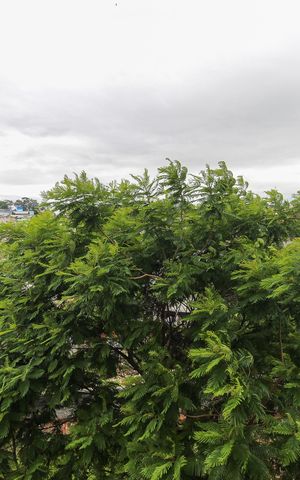 Apartamento à venda com 62m², 2 quartos e 1 vaga Apartamento à venda com 62m², 2 quartos e 1 vagaVista da Sala