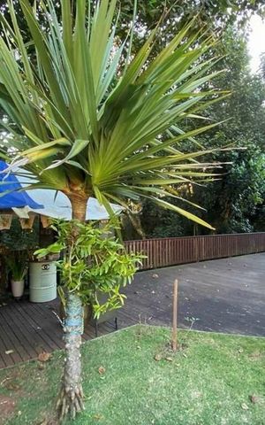 Casa de condomínio à venda com 147m², 3 quartos e 2 vagas