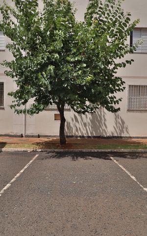 Apartamento para alugar com 50m², 2 quartos e 1 vagaGaragem