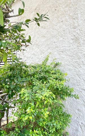 Apartamento à venda com 94m², 3 quartos e 1 vaga Apartamento à venda com 94m², 3 quartos e 1 vagaPlaca