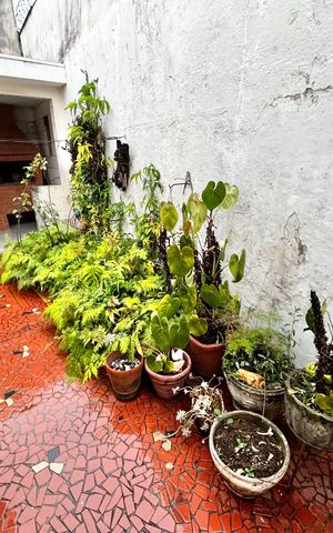 Casa à venda com 238m², 3 quartos e 2 vagasQuintal