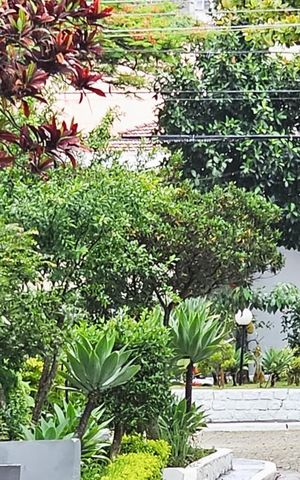 Casa de condomínio à venda com 245m², 4 quartos e 4 vagas Casa de condomínio à venda com 245m², 4 quartos e 4 vagasFachada