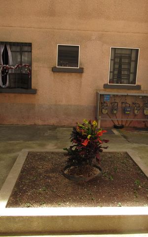 Apartamento à venda com 50m², 2 quartos e 1 vagaÁrea Comum