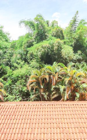 Apartamento à venda com 100m², 3 quartos e 2 vagasVista da Varanda da Sala