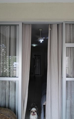 Apartamento para alugar com 78m², 3 quartos e 1 vagaSala - Varanda