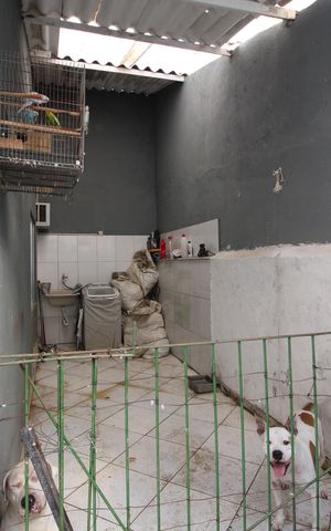 Casa de condomínio à venda com 145m², 2 quartos e 4 vagasÁrea de Serviço