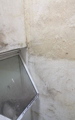 Studio para alugar com 30m², 1 quarto e sem vaga Studio para alugar com 30m², 1 quarto e sem vagaQuarto 1 Vista