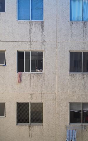 Apartamento à venda com 40m², 2 quartos e 1 vagaVista do Quarto 2