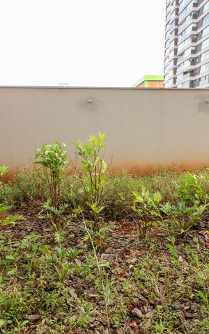 Studio para alugar com 25m², 1 quarto e sem vaga Studio para alugar com 25m², 1 quarto e sem vagaStudio
