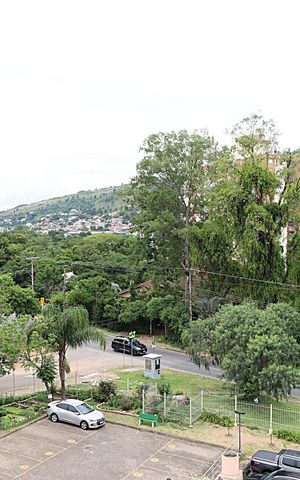 Apartamento à venda com 68m², 3 quartos e 1 vagaVista da Área de serviço