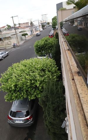 Apartamento para alugar com 175m², 3 quartos e 2 vagasPlaquinha