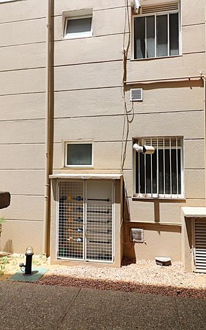Apartamento à venda com 76m², 2 quartos e 1 vagaVista da Janela Cozinha