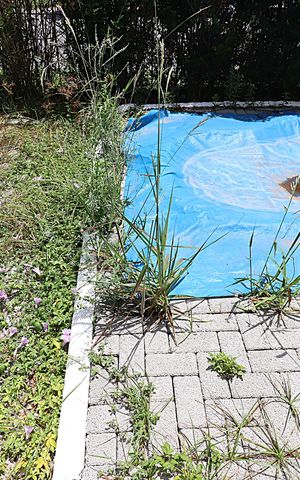 Apartamento à venda com 76m², 2 quartos e 1 vagaQuintal - Piscina 