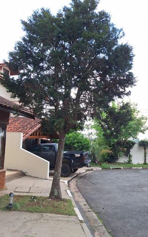 Casa para alugar com 200m², 3 quartos e 4 vagas