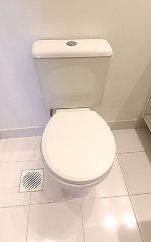 Apartamento à venda com 68m², 2 quartos e 1 vagaBanheiro da Suíte
