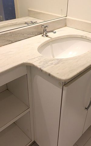 Apartamento à venda com 68m², 2 quartos e 1 vagaBanheiro da Suíte