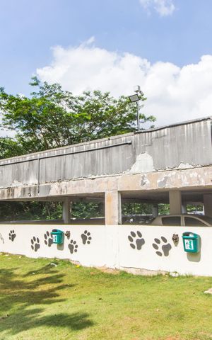 Apartamento à venda com 58m², 2 quartos e 1 vaga Apartamento à venda com 58m², 2 quartos e 1 vagaEspaço Pet