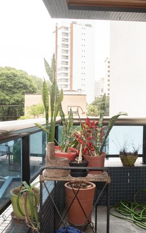 Apartamento à venda com 149m², 3 quartos e 3 vagasVaranda