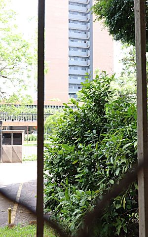 Apartamento à venda com 68m², 2 quartos e sem vagaVista da Sala