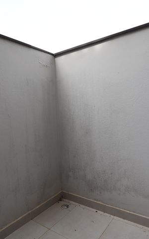 Studio para alugar com 30m², 1 quarto e sem vagaQuintal