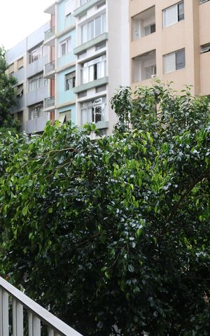 Apartamento à venda com 260m², 3 quartos e 1 vagaVaranda
