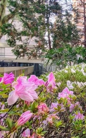 Apartamento à venda com 122m², 4 quartos e 2 vagas Apartamento à venda com 122m², 4 quartos e 2 vagasÁrea externa